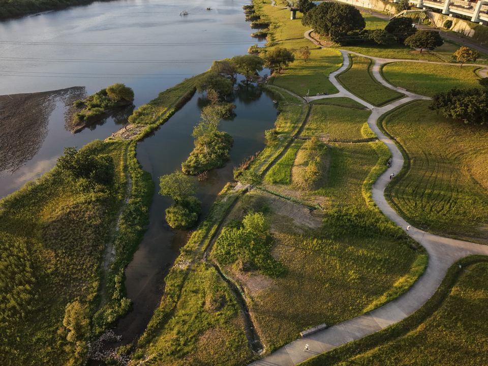 Riverside wetland